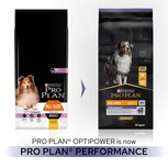 Pro plan performance dog food shop